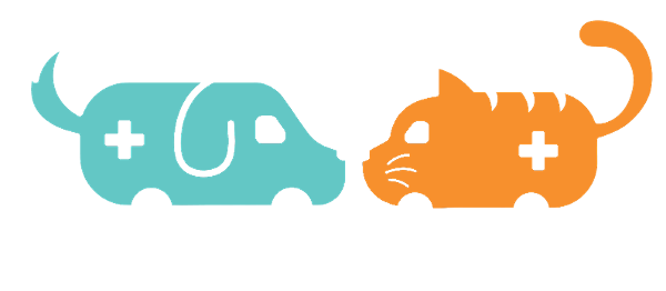 store-logo