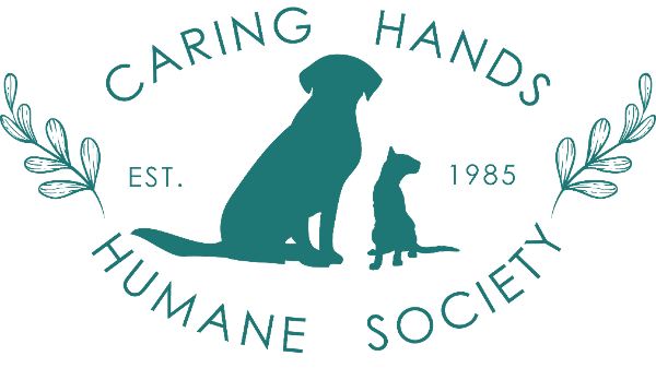store-logo