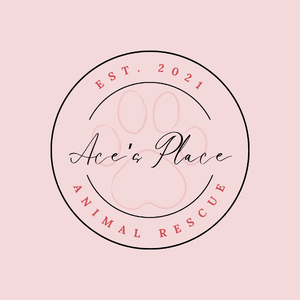 store-logo